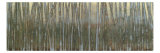 Blue Birch Forest I