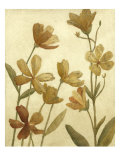 Wildflower Field II