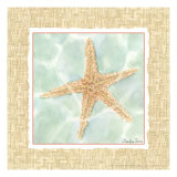 Ocean Starfish