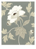 Peony Elegance I