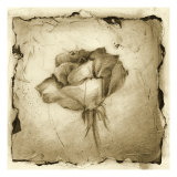 Floral Impression VI