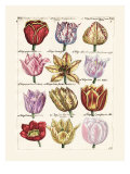 Tulips en Masse I