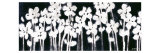 White Flowers on Black II