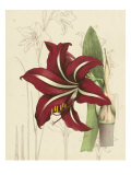 Floral Pairings I
