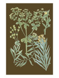 Organic Greenery IV