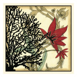 Coral Tapestry III