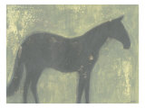 Grey Horse