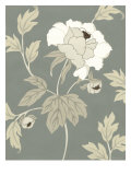 Peony Elegance II
