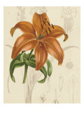Floral Pairings IV