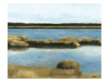 Wet Lands II