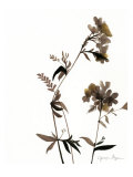 Watermark Wildflowers II