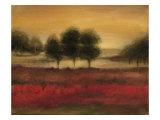 McIntire Grove II