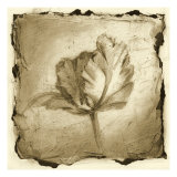 Floral Impression V
