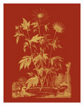 Paprika Bouquet IV