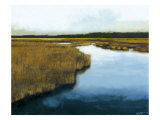 Wet Lands I