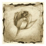 Floral Impression I