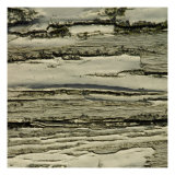 Nature's Textures VIII