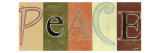 Peace Panel