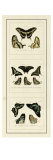 Antique Butterfly Panel II