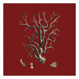 Red and Tan Coral I