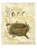 Melodic Nest and Eggs II