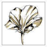 Tulip Sketch IV