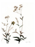 Watermark Wildflowers VII