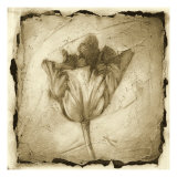 Floral Impression II