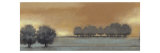 Tranquil Landscape V