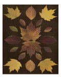 Kaleidoscope Leaves VI