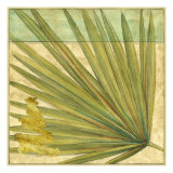 Fan Palm I