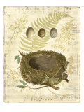 Melodic Nest and Eggs I