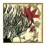 Coral Tapestry IV