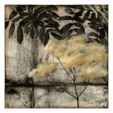 Nature's Breath IV
