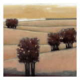 Blushing Hills II