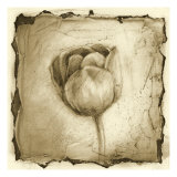 Floral Impression III