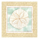 Ocean Sanddollar