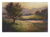 Foothills of Appalachia I