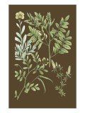 Organic Greenery II