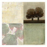 Sage Solace I