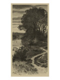 Twilight Grove II