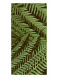 Patterned Nature II