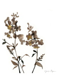 Watermark Wildflowers IV