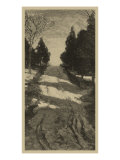 Twilight Grove I