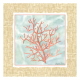 Ocean Coral