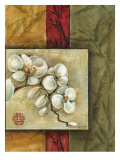 Asian Orchids II