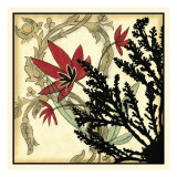 Coral Tapestry II