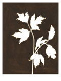 Four Seasons Foliage IV