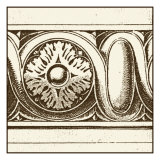 Sepia Detail V