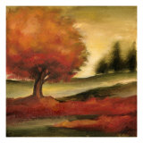 Harvest Maple II